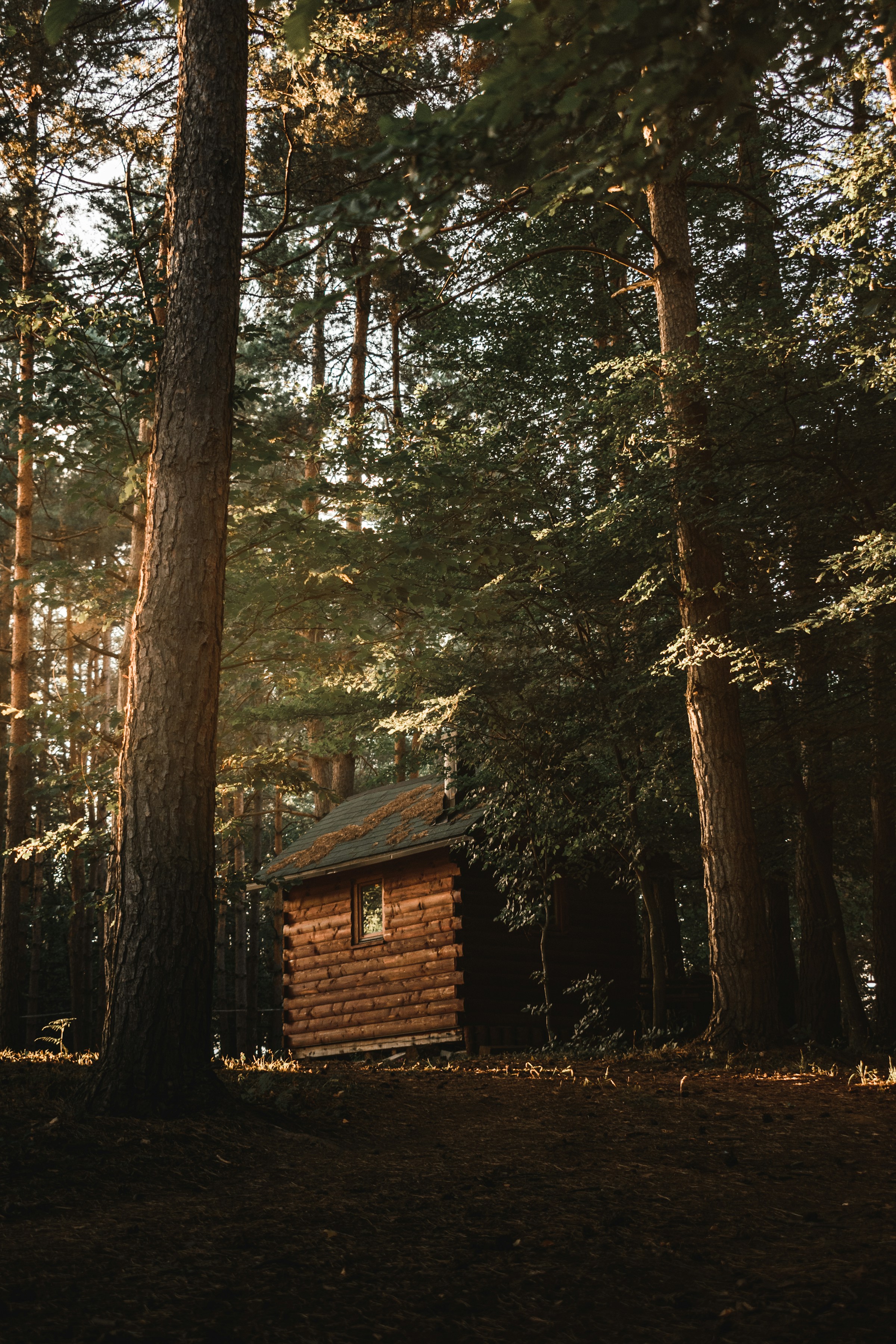 Wyłącznie w celach ilustracyjnych | Źródło: Unsplash