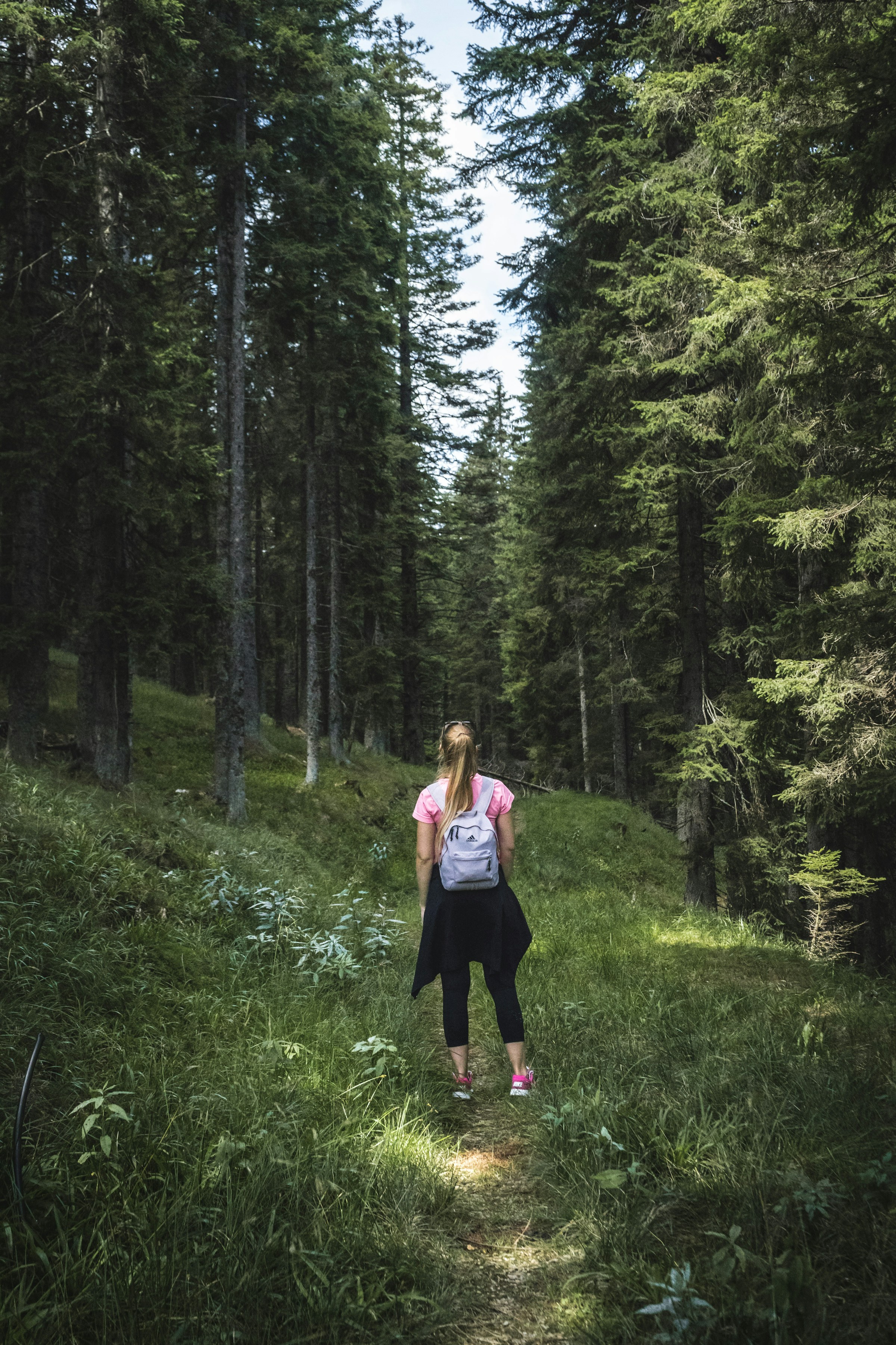 Wyłącznie w celach ilustracyjnych | Źródło: Unsplash
